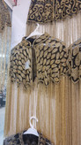 رودوشی مجلسی وارداتی